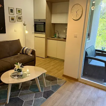 Lueks Stuedyo Apartment Budva